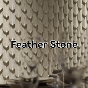 Feather Stone/Exquisite and Elegant Wall Art