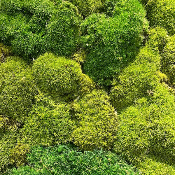 Natural Decoration Series