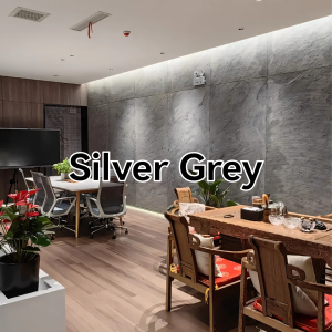 Silver Grey/Thin Stone for Modern Interiors