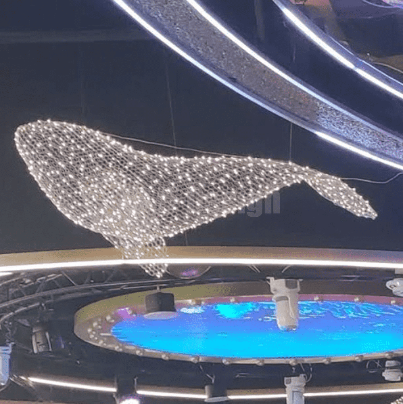 StainlessSteelHollowed-outWhaleSculpture3