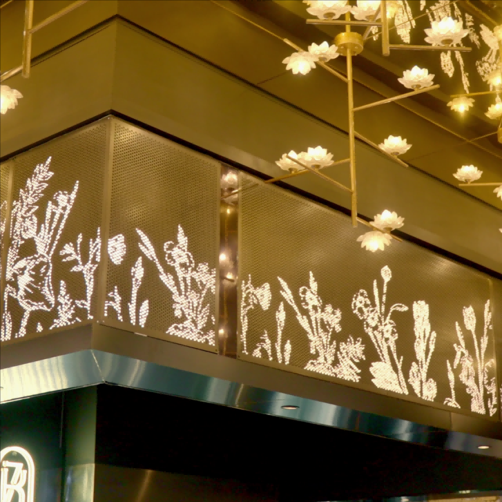kinzu Ceiling shape 1