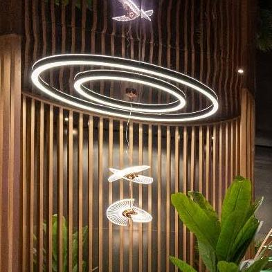 myasushi Acrylic combination chandelier