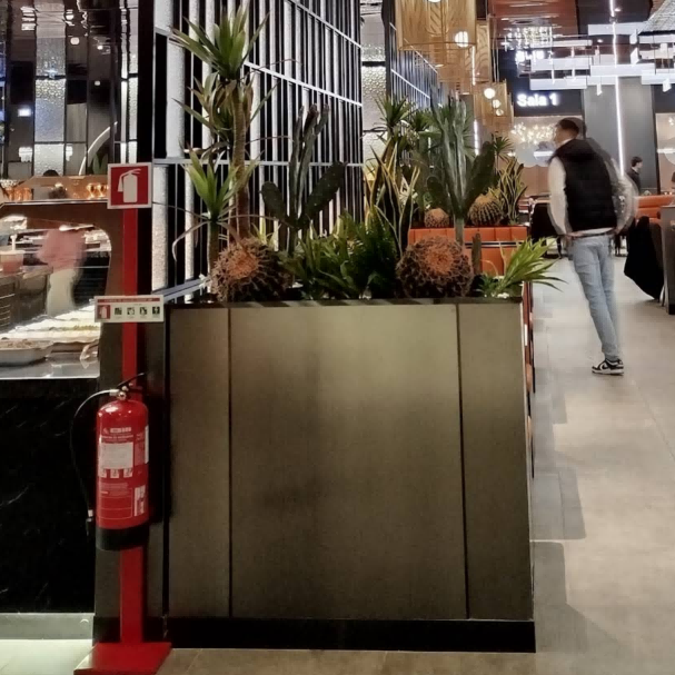 wok royal Landscape group low partition 3